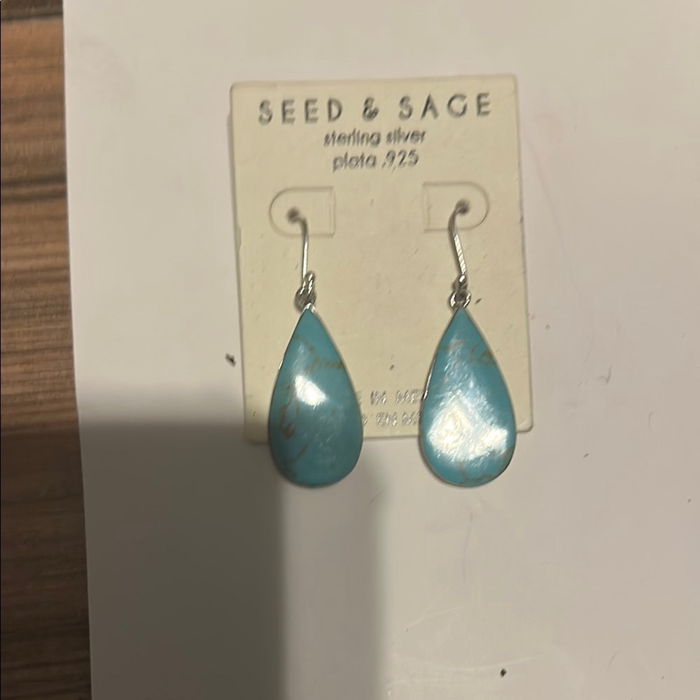 Turquoise Teardrop Earrings